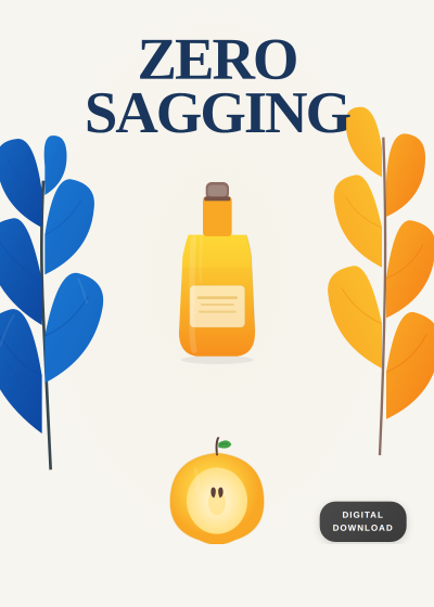 Zero Sagging Protocol cover